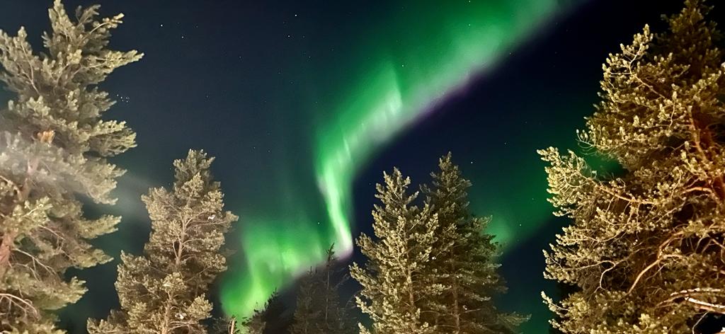 Lapland sneeuwlandschap